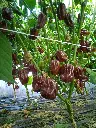 IMG_20230920_084250-lsxkzs3w.webp