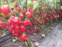 IMG_20170913_120151-lsxjeuo1.webp