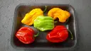 IMG-20190813-WA0000jpeg-lsxjrfv2.webp