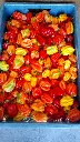 IMG-20190824-WA0000jpeg-lsxju30a.webp