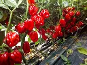 IMG_20180918_100614-lsxjxbm2.webp