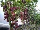 image_1920