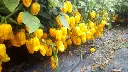 IMG-20201001-WA0000jpeg-lsxjjrt1.webp