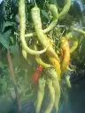IMG_20230731_162057-lybamvjw.webp