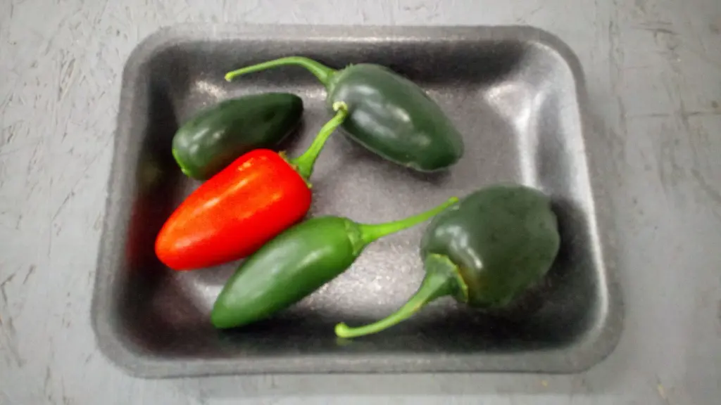 IMG-20190818-WA0000jpeg-lsxlu4c2.webp