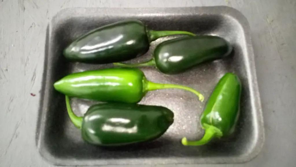IMG-20190821-WA0002jpeg-lsxlvv50.webp