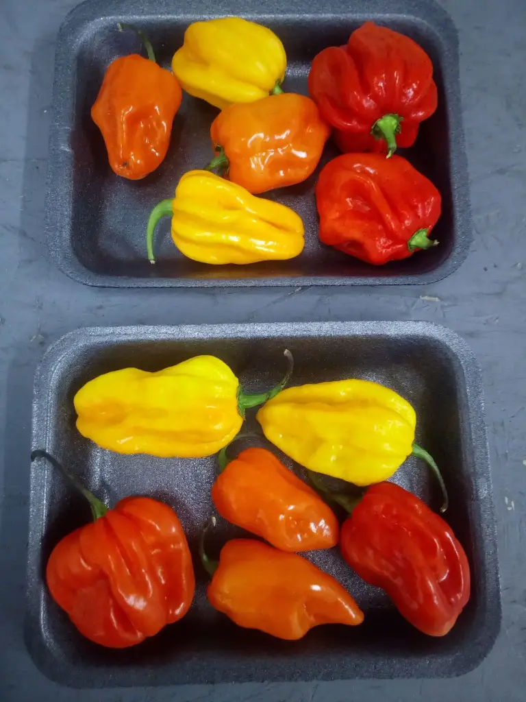 Papryka Habanero Mix