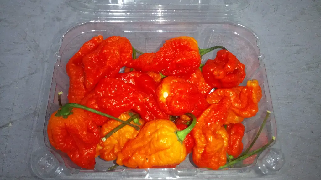 Papryka Carolina Reaper