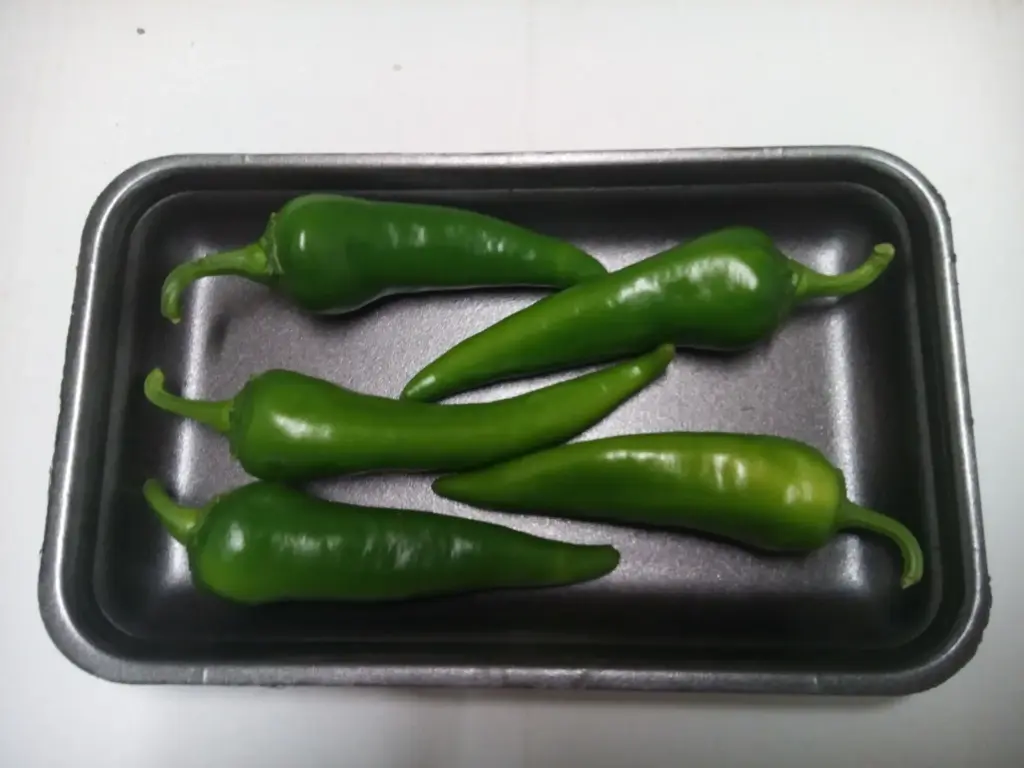 Papryka  Chilli zielone