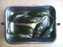 Papryka Jalapeño