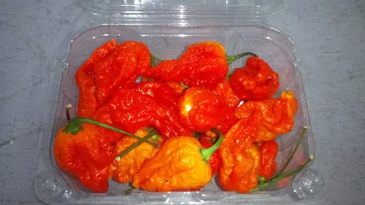 Papryka Carolina Reaper