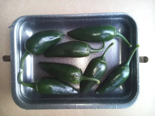Papryka Jalapeño